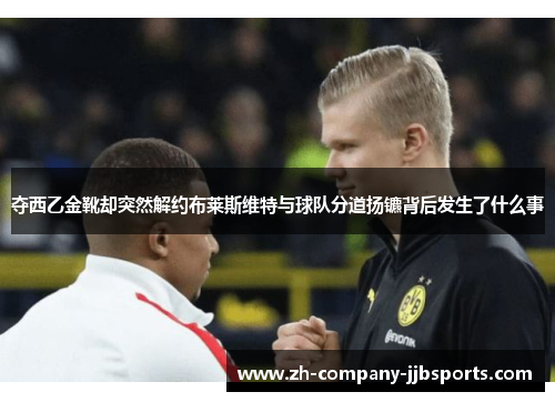 夺西乙金靴却突然解约布莱斯维特与球队分道扬镳背后发生了什么事